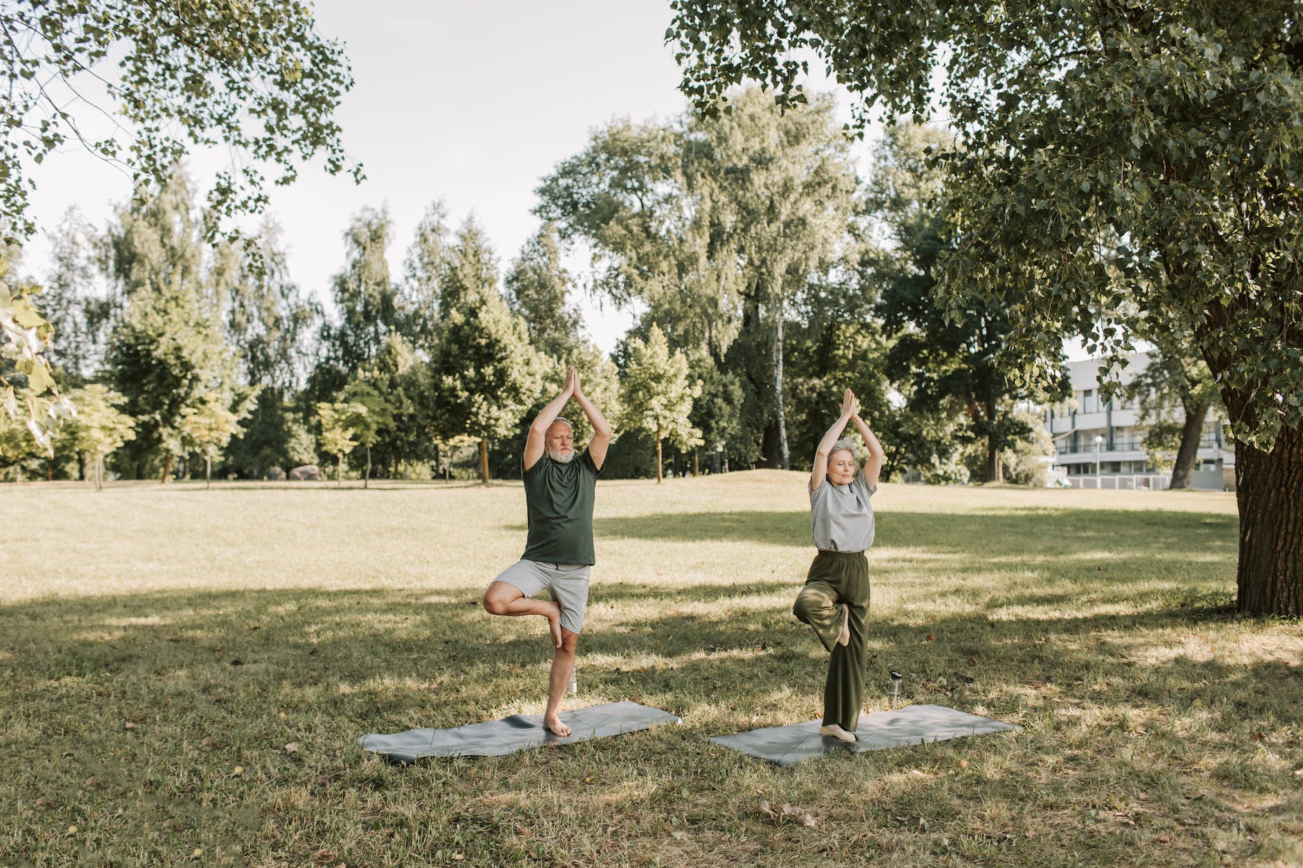 an elderly couple doing yoga at the park