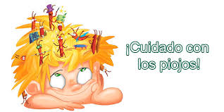 cuidado_piojos