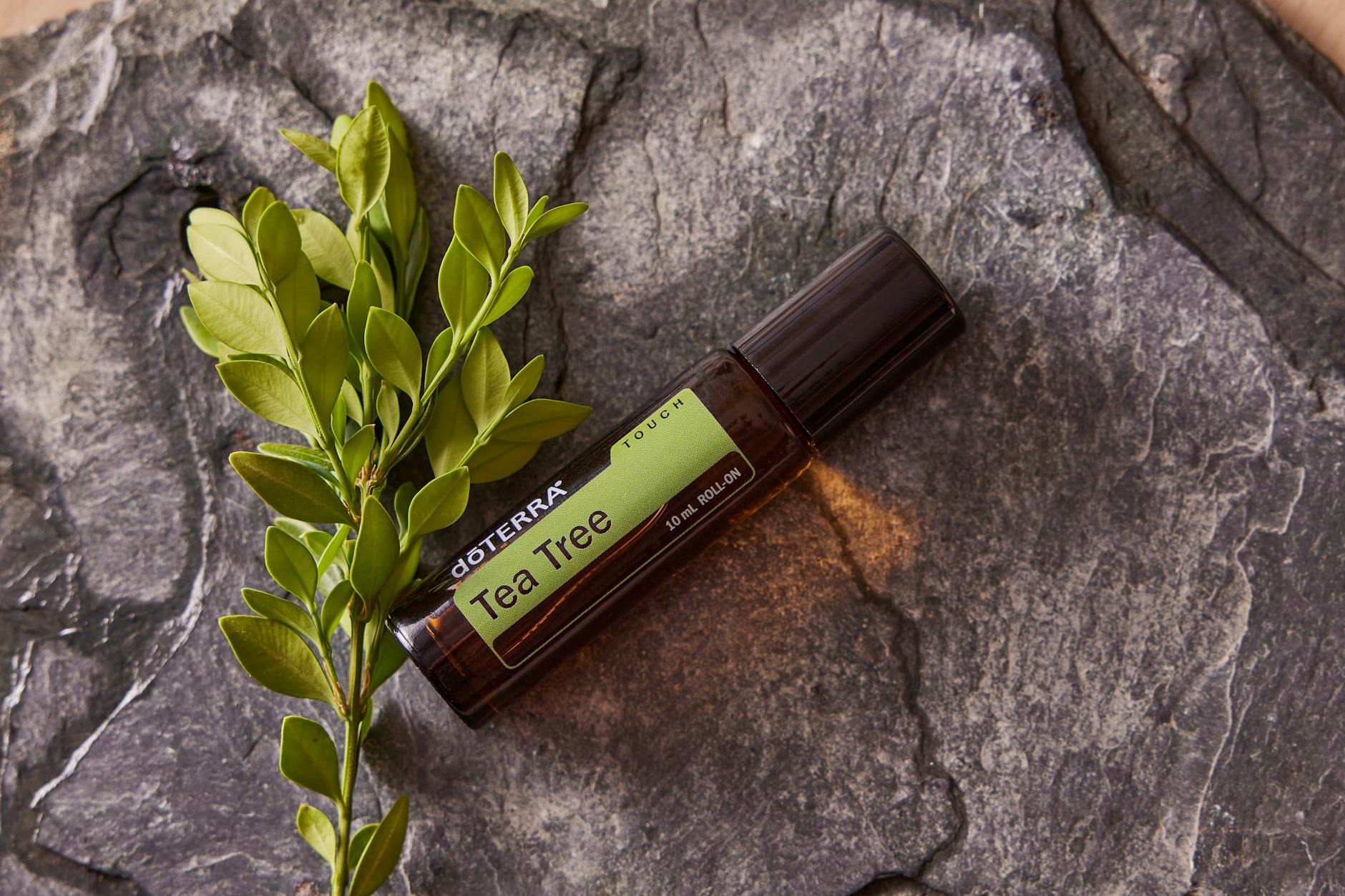 tea tree oil on a rock
