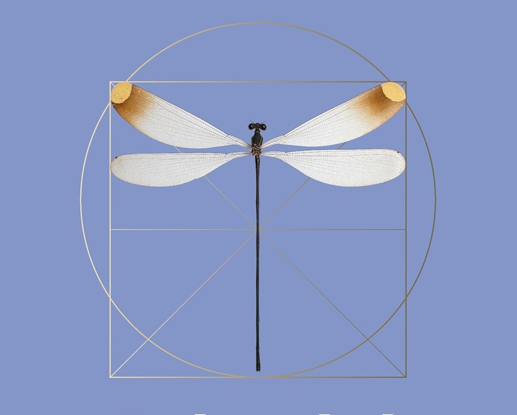 La levedad de las&nbsp;libélulas