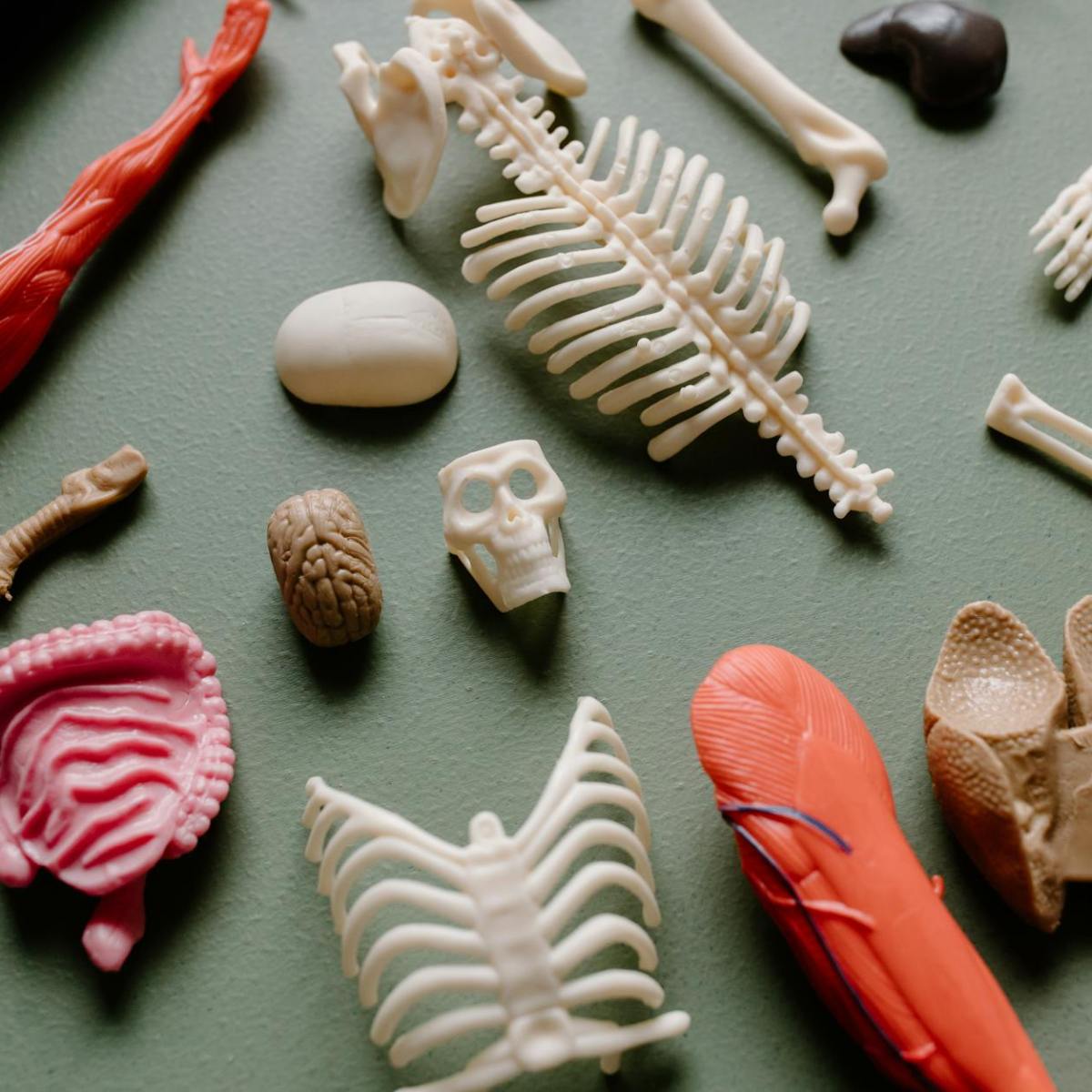 La Biología aprieta pero no&nbsp;ahoga